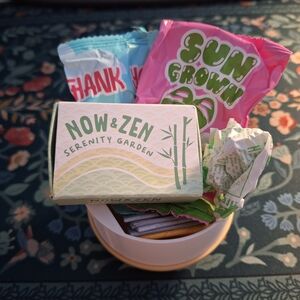 Miniverse Make It Mini Lifestyle Series 1 Zen Garden